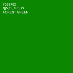 #0B8702 - Forest Green Color Image