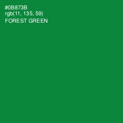 #0B873B - Forest Green Color Image