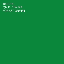 #0B873C - Forest Green Color Image