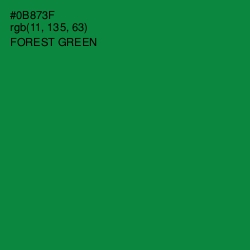 #0B873F - Forest Green Color Image