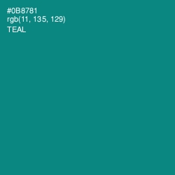 #0B8781 - Teal Color Image