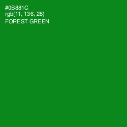 #0B881C - Forest Green Color Image