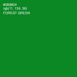 #0B8824 - Forest Green Color Image