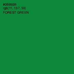 #0B893B - Forest Green Color Image