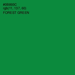 #0B893C - Forest Green Color Image