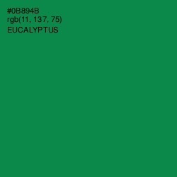 #0B894B - Eucalyptus Color Image