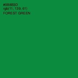 #0B8B3D - Forest Green Color Image