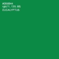 #0B8B44 - Eucalyptus Color Image