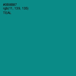 #0B8B87 - Teal Color Image