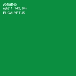 #0B8E40 - Eucalyptus Color Image