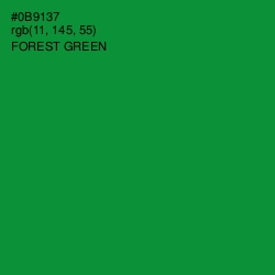 #0B9137 - Forest Green Color Image