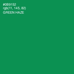 #0B9152 - Green Haze Color Image