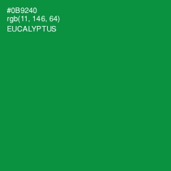 #0B9240 - Eucalyptus Color Image