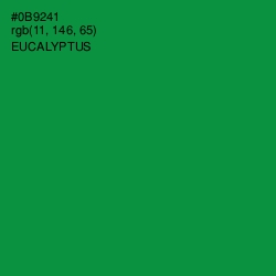 #0B9241 - Eucalyptus Color Image