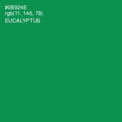 #0B924E - Eucalyptus Color Image