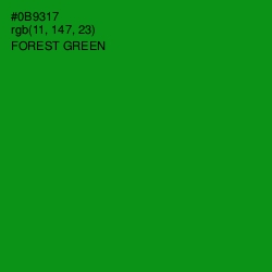 #0B9317 - Forest Green Color Image