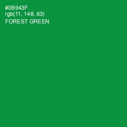 #0B943F - Forest Green Color Image