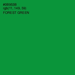 #0B953B - Forest Green Color Image