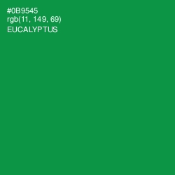 #0B9545 - Eucalyptus Color Image