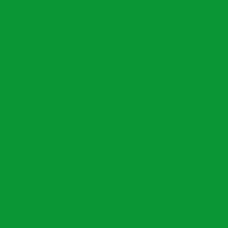 #0B9636 - Forest Green Color Image