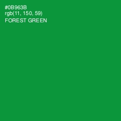 #0B963B - Forest Green Color Image