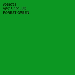 #0B9721 - Forest Green Color Image