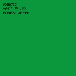 #0B973C - Forest Green Color Image