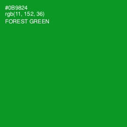 #0B9824 - Forest Green Color Image