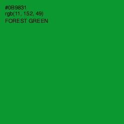 #0B9831 - Forest Green Color Image