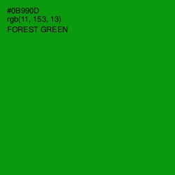 #0B990D - Forest Green Color Image