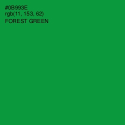 #0B993E - Forest Green Color Image