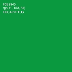 #0B9940 - Eucalyptus Color Image