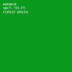 #0B9B1B - Forest Green Color Image