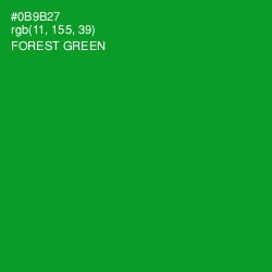 #0B9B27 - Forest Green Color Image