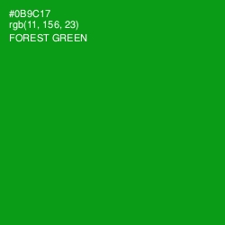 #0B9C17 - Forest Green Color Image