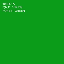 #0B9C1A - Forest Green Color Image