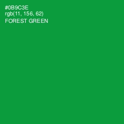 #0B9C3E - Forest Green Color Image