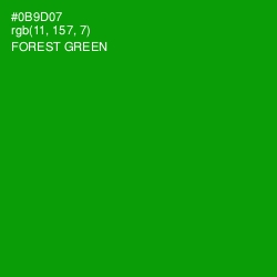 #0B9D07 - Forest Green Color Image