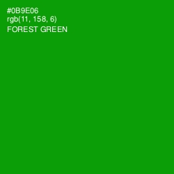 #0B9E06 - Forest Green Color Image