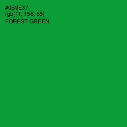 #0B9E37 - Forest Green Color Image