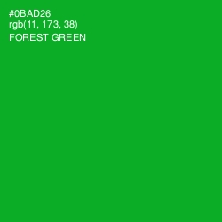 #0BAD26 - Forest Green Color Image