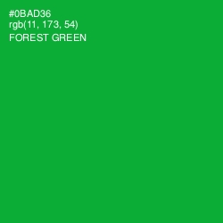 #0BAD36 - Forest Green Color Image