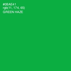 #0BAE41 - Green Haze Color Image