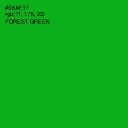 #0BAF17 - Forest Green Color Image