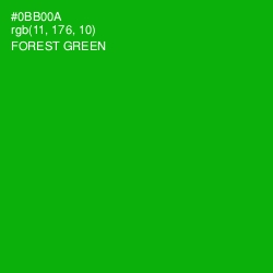 #0BB00A - Forest Green Color Image