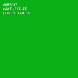 #0BB017 - Forest Green Color Image
