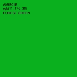 #0BB01E - Forest Green Color Image