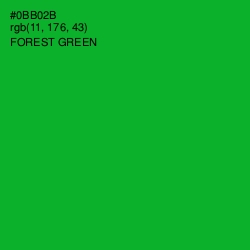 #0BB02B - Forest Green Color Image
