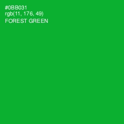 #0BB031 - Forest Green Color Image