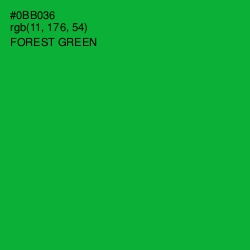 #0BB036 - Forest Green Color Image